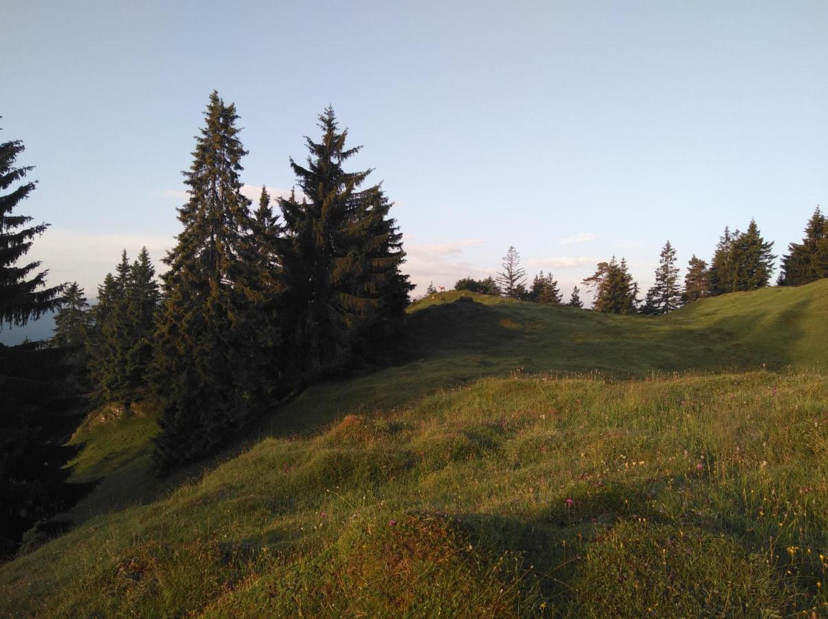 Вилла Leitnerhof Нидерау Экстерьер фото